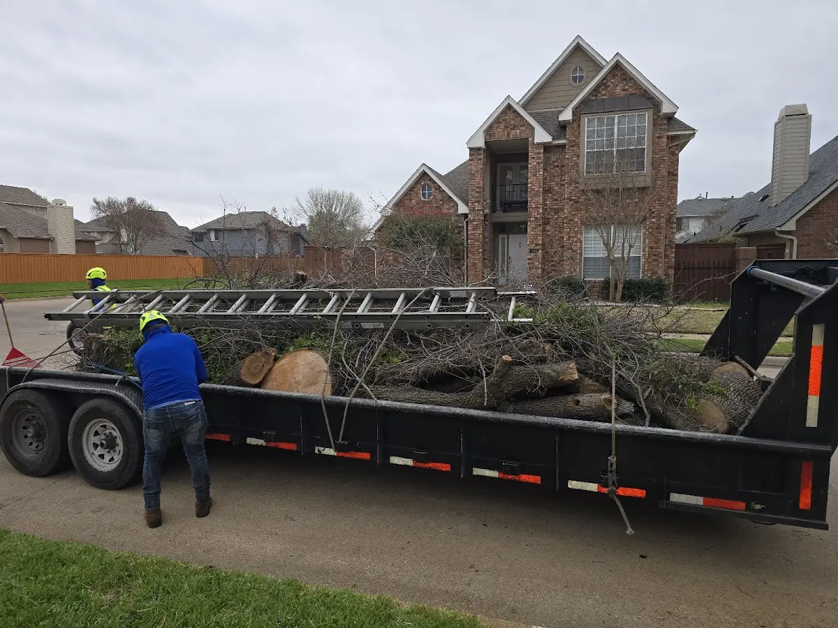Expert Tree Fertilization with proper safety equipment in Pinellas Park